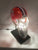 Clemson Football Lamp